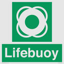 lifebuoy-with-symbol~